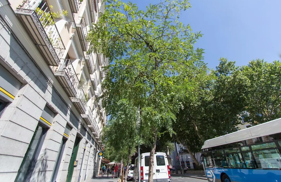Homelike Tirso-1